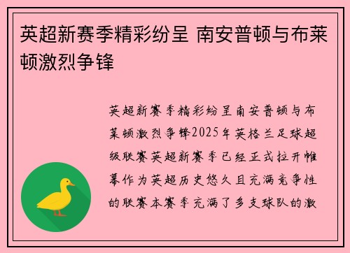 英超新赛季精彩纷呈 南安普顿与布莱顿激烈争锋 英超新赛季精彩纷呈 南安普顿与布莱顿激烈争锋
